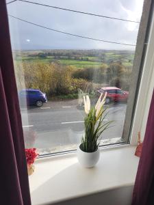 Naturlandskabet i nærheden af feriehuset