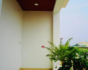 THS Suites - Luxurious 2 BHK AC apartments with Tirumala Views - Near Marriott, Taj and ITC 5 star hotels - Walkable to PS4, A2B, Orion, Starbucks cafes - Close to Thiruchanur and Alipiri flyover في تيروباتي: نبات يجلس بجانب جدار أبيض