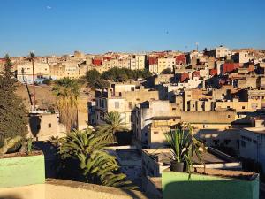 a view of a city with buildings and palm trees at Riad el Anaqa in Fez
