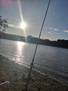 Gallery image of The cottage in Opotiki