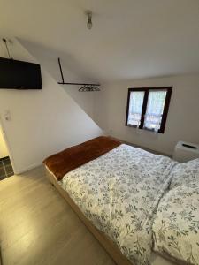 Un dormitorio con una cama y un televisor. en Maison cocooning, en Saint-Sébastien-sur-Loire