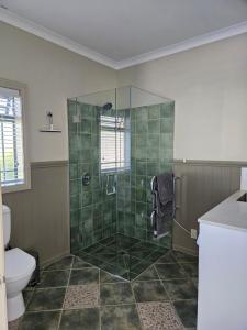 a bathroom with a shower and a toilet at Ridgetop cottage in Wairakei