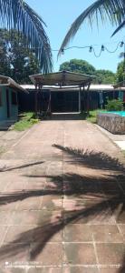 a shadow of a palm tree on a brick driveway at hostal Casa pura vida in Rivas