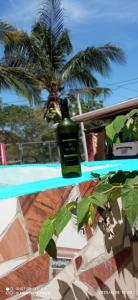 a bottle of wine sitting on a table next to a palm tree at hostal Casa pura vida in Rivas