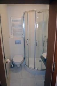 a bathroom with a shower and a toilet and a sink at Willa Anna Maria in Białka Tatrzanska