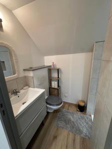 een badkamer met een witte wastafel en een toilet bij Maison le petit coin secret in Châtillon-sur-Seine +15 foto's