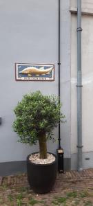 Billede fra billedgalleriet på Appartement B&B In de Gulde Steur i Deventer