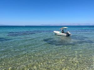 Příroda nedaleko apartmánu + 26 fotografií