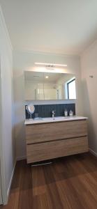 a bathroom with a sink and a large mirror at Bumble Bee Cottage in Kerikeri