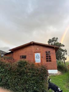 uma casa com um cachorro na frente e um arco-íris em Glamping Store em Guatavita