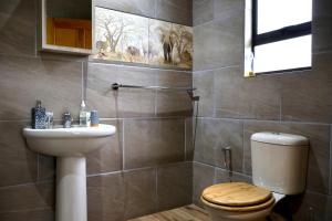 a bathroom with a toilet and a sink at Uitvlugt Ponds in Dullstroom