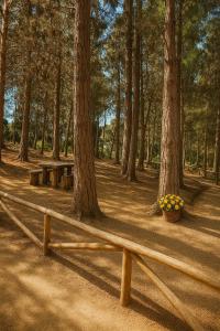 Foto de la galería de Departamento en el Tabo en El Tabo