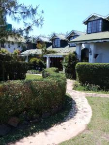 a house with bushes in front of a house at Mountain Haven Kaapsehoop in Kaapsehoop +17 photos