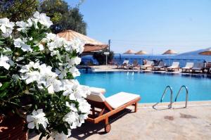 The swimming pool at or close to Omar Hotel & Suites