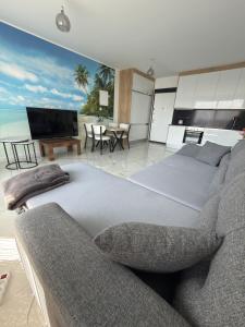 Μια τηλεόραση ή/και κέντρο ψυχαγωγίας στο Apartments in Four Seasons 2 +100 φωτογραφίες