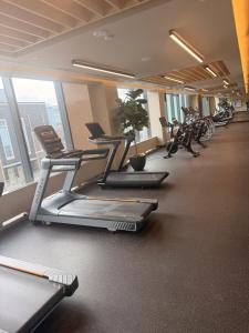 Fitness centrum a/nebo fitness zařízení v ubytování Uniqueplace