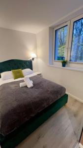 Un dormitorio con una cama grande y dos ventanas. en Apartamenty Dąbrówka Cieplice Zdrój, en Jelenia Góra