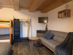 Μια τηλεόραση ή/και κέντρο ψυχαγωγίας στο Apartmány Roudnice