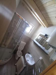 a bathroom with a sink and a toilet and a mirror at Planinska Vikendica SP Jahorina in Bistrica +6 photos
