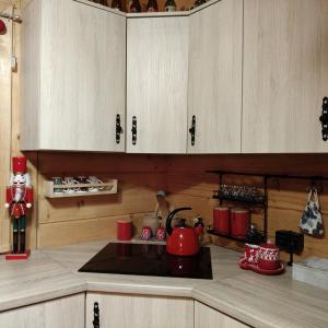 Η κουζίνα ή μικρή κουζίνα στο Jałowcowe Zacisze