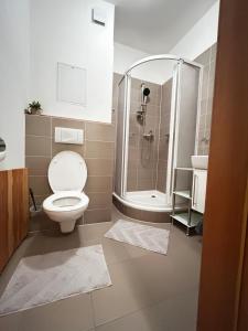 a bathroom with a toilet and a shower at Apartmán Lucie Špindlerův Mlýn in Špindlerův Mlýn +18 photos