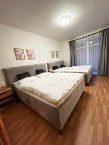 a bedroom with two beds and a window at Apartmán Lucie Špindlerův Mlýn in Špindlerův Mlýn