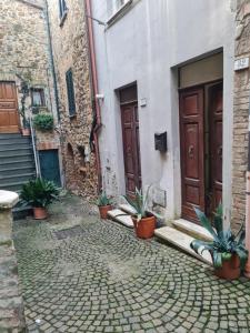 Φωτογραφία από το άλμπουμ του Casa alta στη Ρώμη