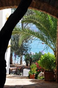 A garden outside Omar Hotel & Suites