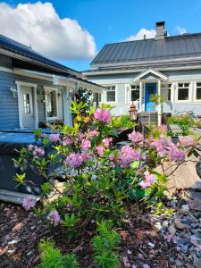 En have udenfor Yö ylisillä kaupungin kainalossa