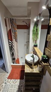 a bathroom with a sink and a shower at Chambre privé climatisé in Vertaizon