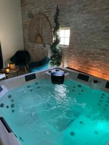 a jacuzzi tub with a pot in the middle at Manoir Drissia - Tours Centre, France in Saint-Avertin