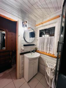 a bathroom with a sink and a mirror at Świerkowa Chata in Targanice