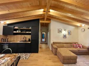 a kitchen and living room with a couch and a table at Cabana Roua in Borsa
