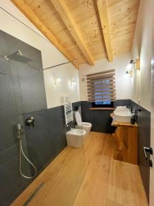 a bathroom with a shower and a toilet and a sink at Cabana Roua in Borsa +7 photos