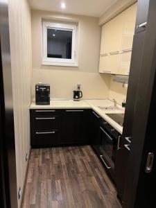 a small kitchen with a sink and a microwave at Šafran Apartment LUX in Donovaly