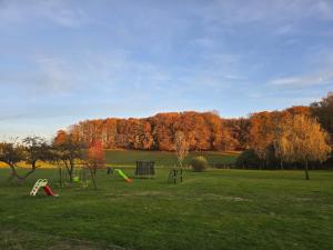 Zona de juegos infantil en Home Sweet Vosges gîte Montana