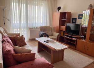 TV a/nebo společenská místnost v ubytování Cozy Apartment by the Forest + 5 fotografií