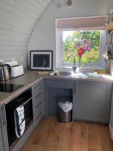 Η κουζίνα ή μικρή κουζίνα στο Beautiful one bed Pod in idyllic surroundings