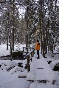 a person standing on a bridge in the snow at Panoramablick Höllbachtal in Rettenbach