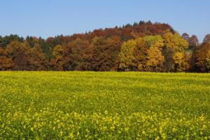 Gallery image of Panoramablick Höllbachtal in Rettenbach +9 photos