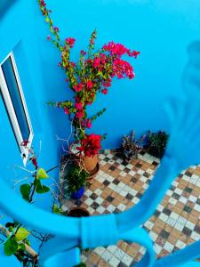 a room with a blue wall with flowers and plants at Authentic Dual Terrace house in Chefchaouene