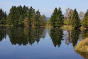 un lac avec des arbres réfléchissant dans l'eau dans l'établissement Panoramablick Höllbachtal, à Rettenbach