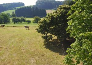 Gallery image of Panoramablick Höllbachtal in Rettenbach