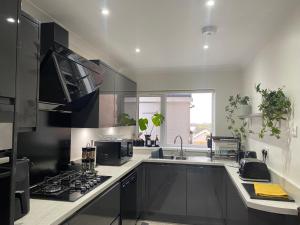 a kitchen with a sink and a stove top oven at The Forager's Rest in Briton Ferry