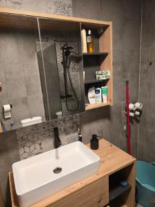 Koupelna v ubytování 1,5 Zimmer Wohnung