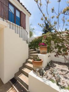 Κήπος έξω από το Casapueblo Rent Cachagua CP 14