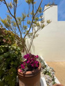 Κήπος έξω από το Casapueblo Rent Cachagua CP 14 +23 φωτογραφίες