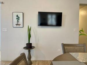 una televisione su una parete con un tavolo e una pianta di Abigail's Esmeralda 2 bedrom Apt a Tortola Island