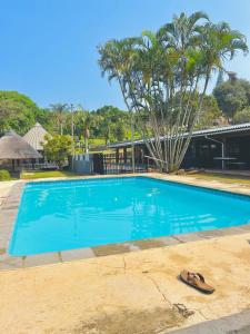 Nyathi's Guest House في هيبردين: وجود شبشب للجلوس بجانب المسبح