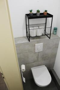 a bathroom with a toilet and a shelf with plants at Grande chambre et salle de bain privée et balcon in Strasbourg +8 photos